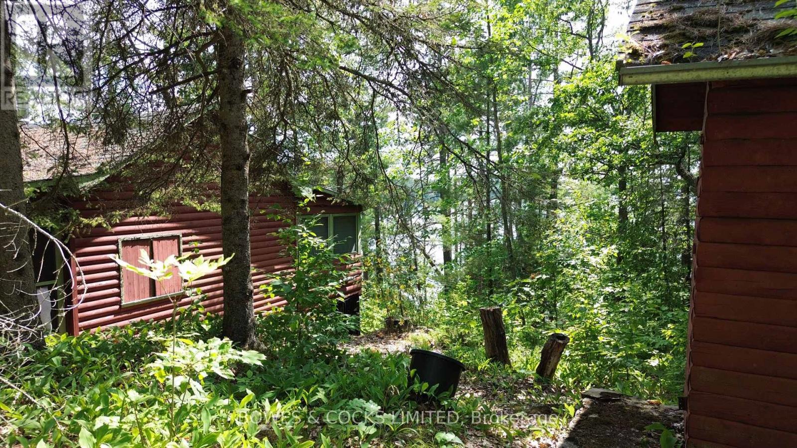 10 Fire Route 46, North Kawartha, Ontario  K0L 2H0 - Photo 26 - X12305577