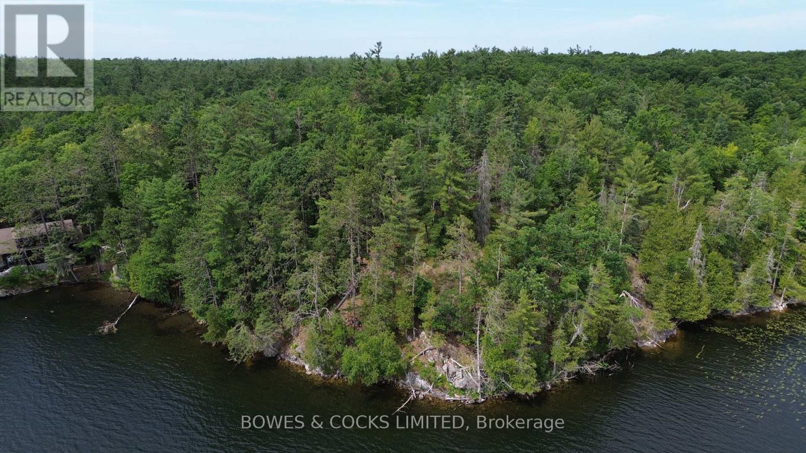 10 Fire Route 46, North Kawartha, Ontario  K0L 2H0 - Photo 3 - X12305577