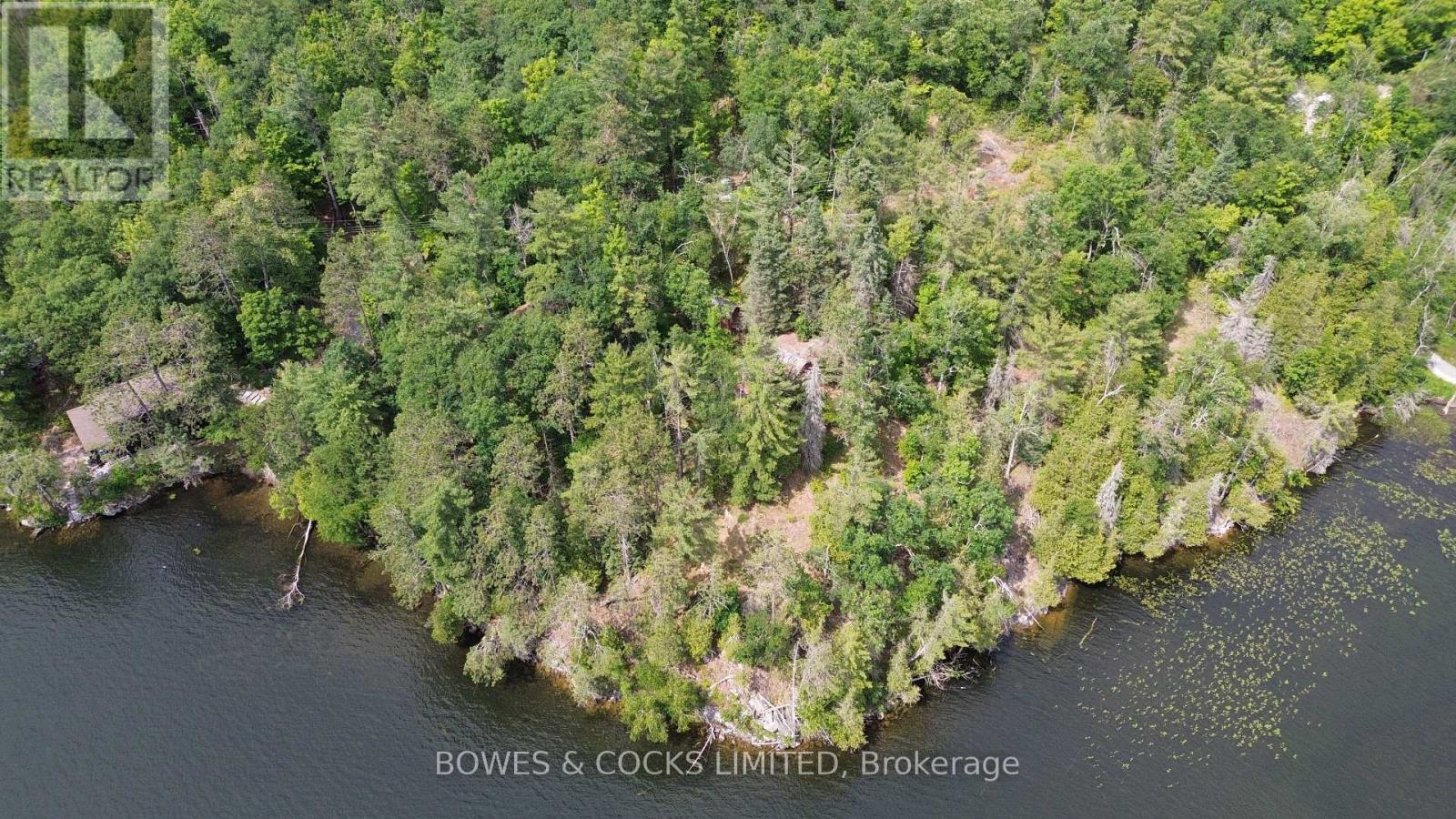 10 Fire Route 46, North Kawartha, Ontario  K0L 2H0 - Photo 4 - X12305577