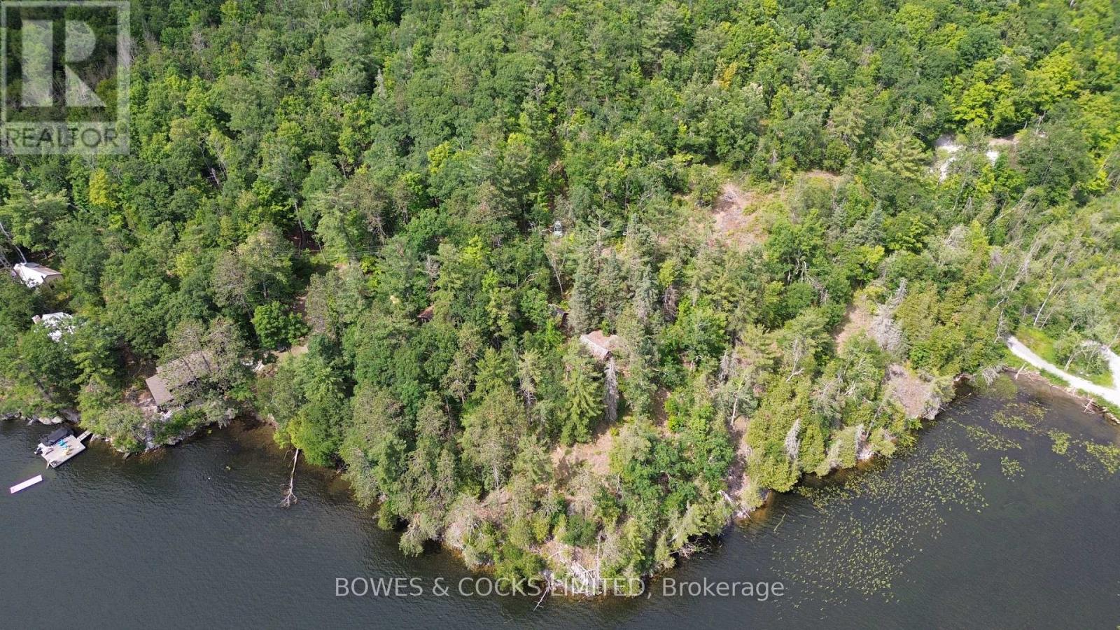 10 Fire Route 46, North Kawartha, Ontario  K0L 2H0 - Photo 5 - X12305577