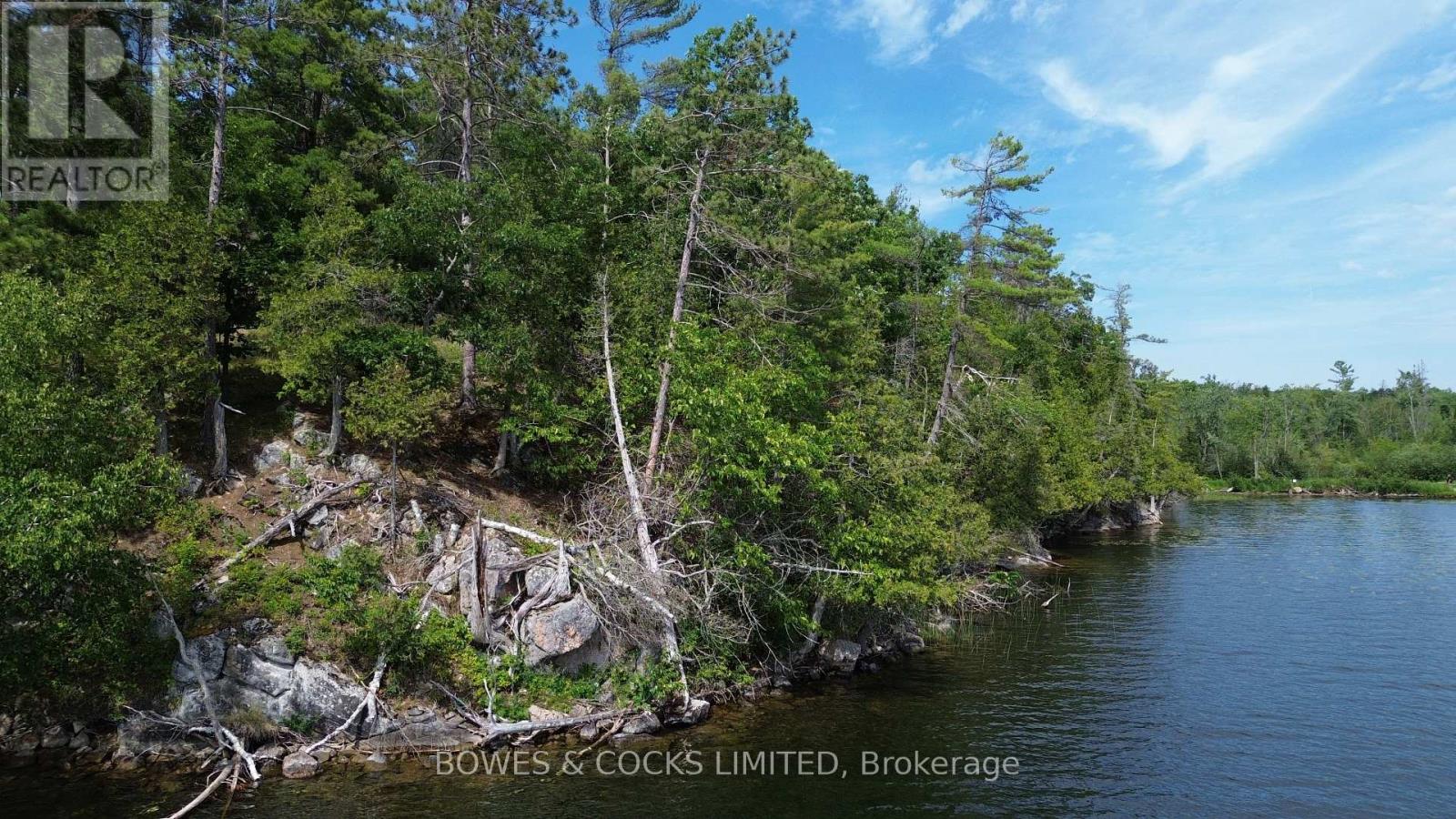 10 Fire Route 46, North Kawartha, Ontario  K0L 2H0 - Photo 9 - X12305577