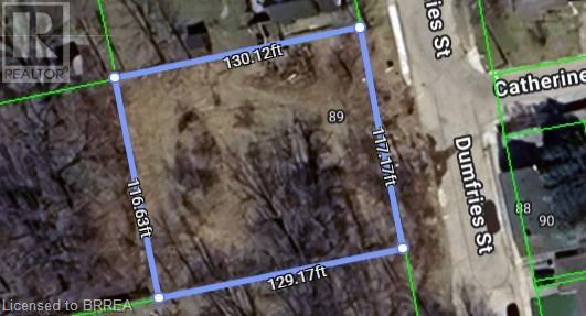 89 Dumfries Street, Paris, Ontario  N3L 2E5 - Photo 3 - 40752278