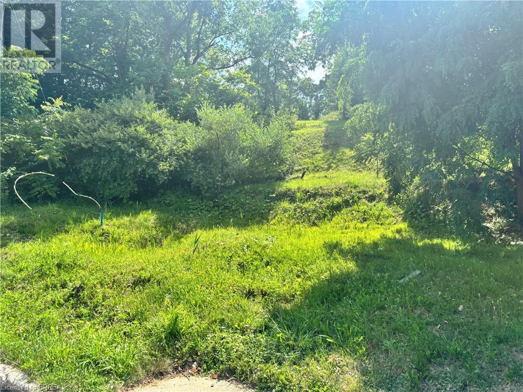 89 Dumfries Street, Paris, Ontario  N3L 2E5 - Photo 2 - 40752278