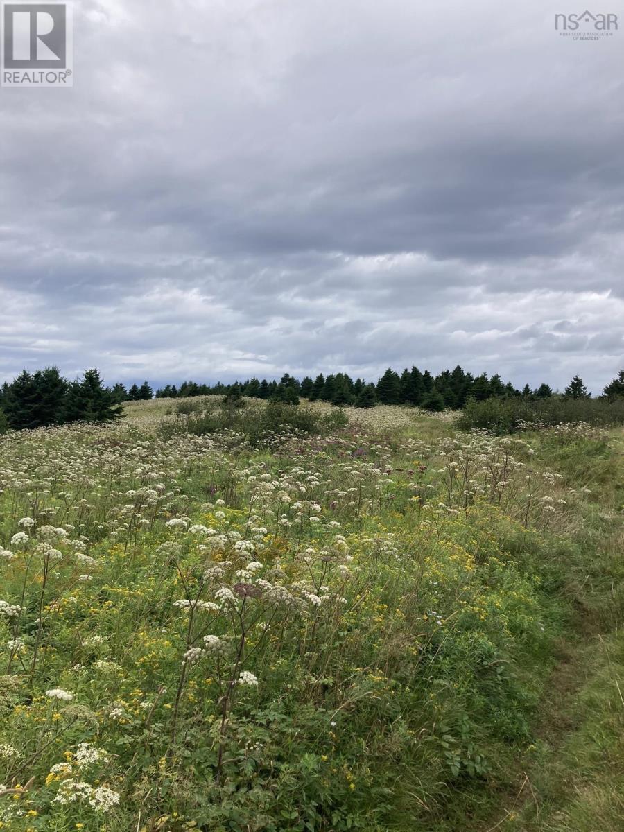 Lot Off Highway 247, Lower L'ardoise, Nova Scotia  B0E 1S0 - Photo 2 - 202518649