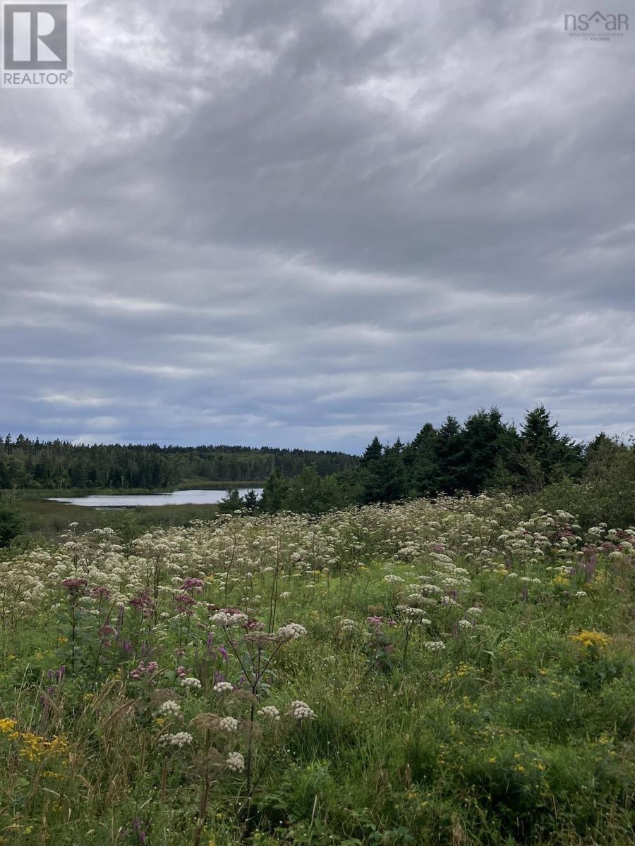 Lot Off Highway 247, Lower L'ardoise, Nova Scotia  B0E 1S0 - Photo 3 - 202518649