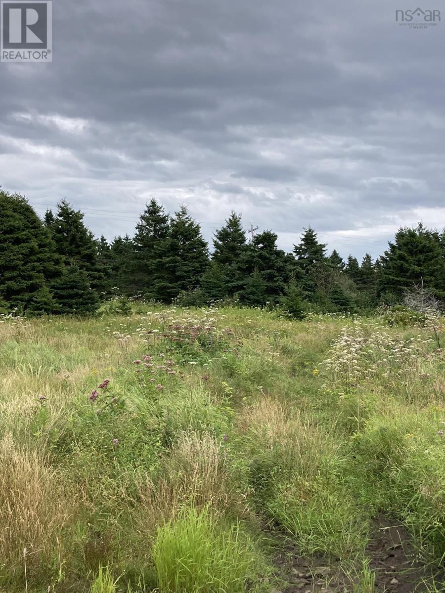 Lot Off Highway 247, Lower L'ardoise, Nova Scotia  B0E 1S0 - Photo 4 - 202518649