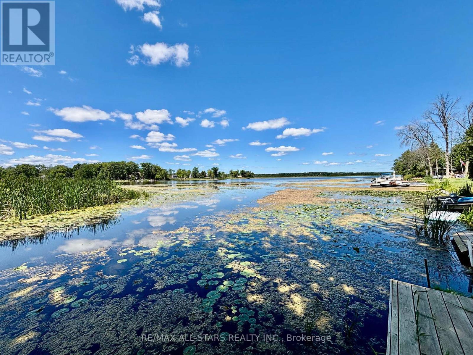 83 Kenedon Drive, Kawartha Lakes, Ontario  K0L 2W0 - Photo 36 - X12305569