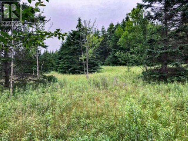 Lot 290 East Side Grand River Road, Grand River, Nova Scotia  B0E 1M0 - Photo 4 - 202518594