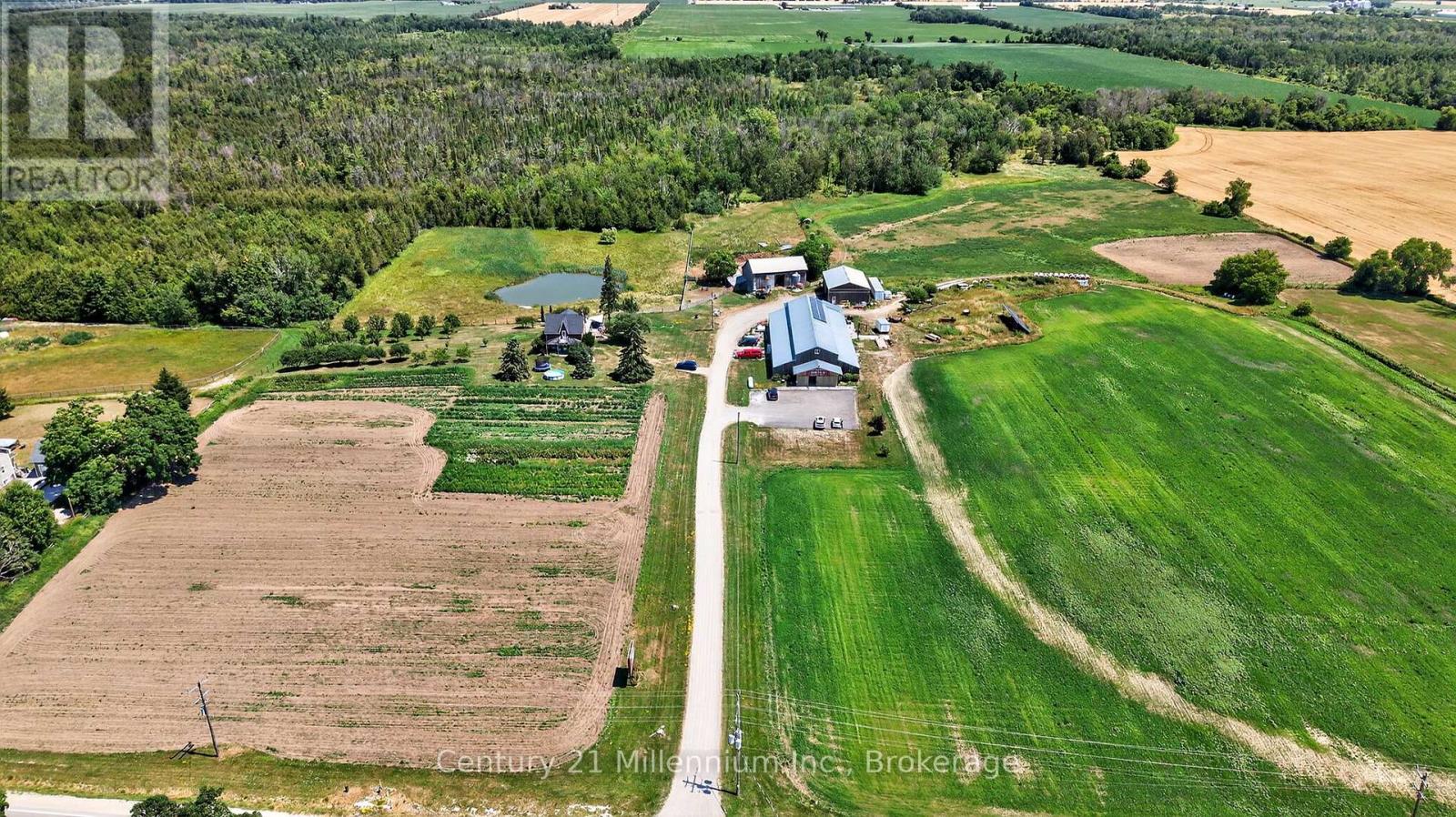 1617 42 County Road, Clearview, Ontario  L0M 1S0 - Photo 17 - S12305774
