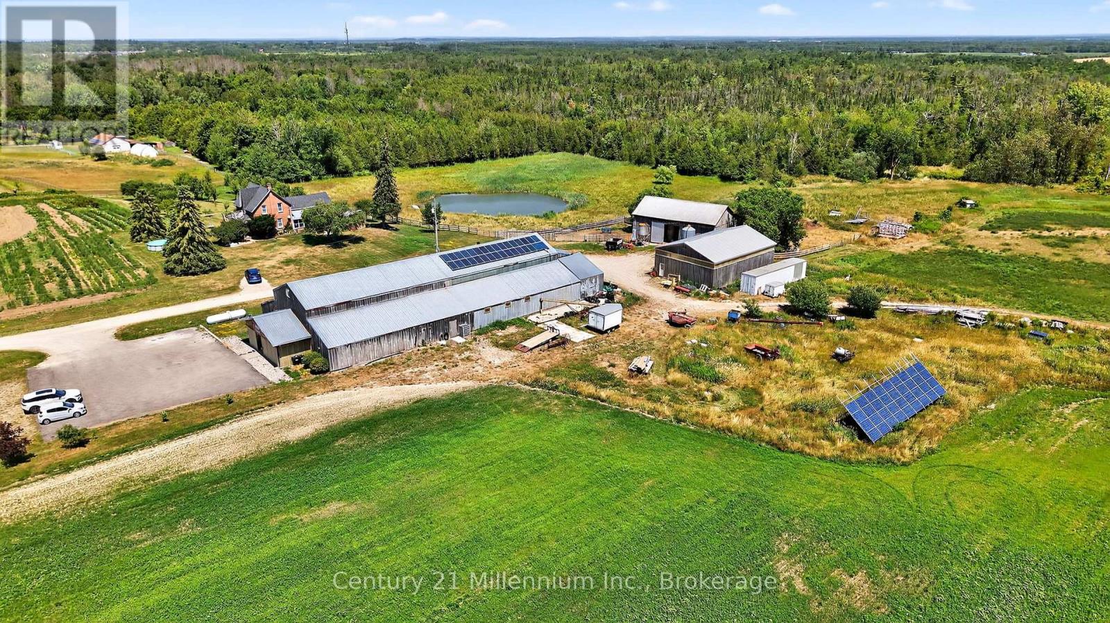1617 42 County Road, Clearview, Ontario  L0M 1S0 - Photo 22 - S12305774