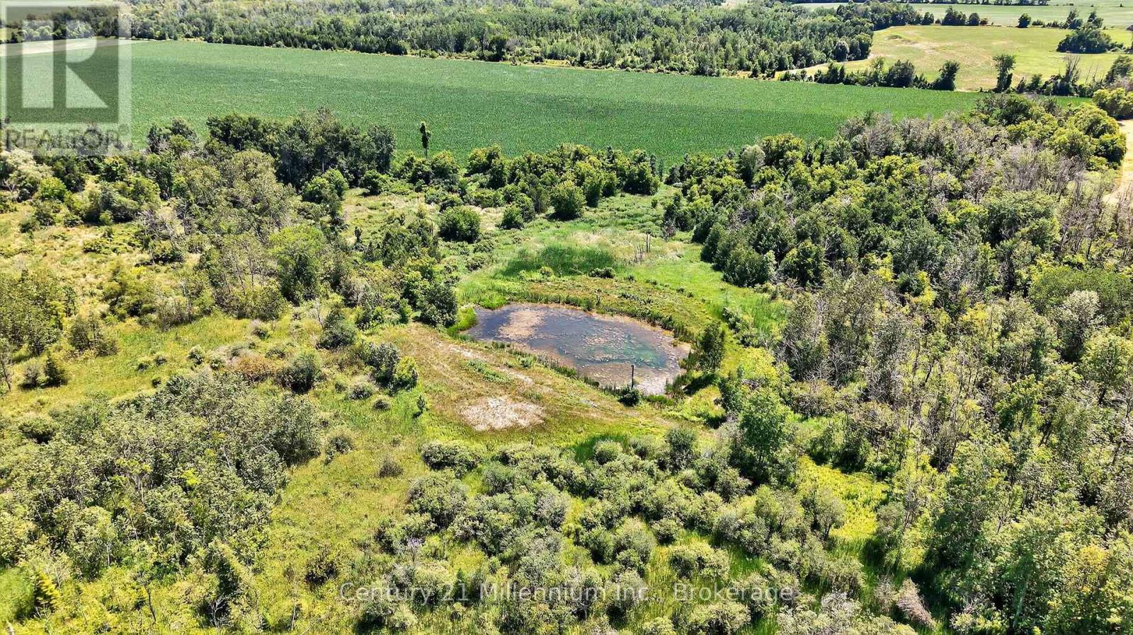 1617 42 County Road, Clearview, Ontario  L0M 1S0 - Photo 29 - S12305774