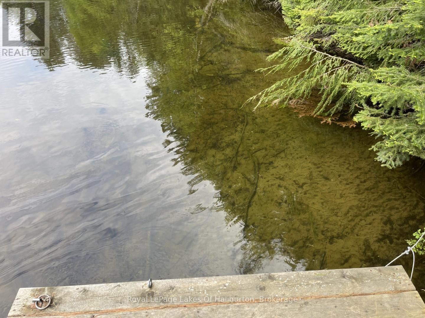 1675 Braeloch Road, Algonquin Highlands, Ontario  K0M 1S0 - Photo 2 - X12195294