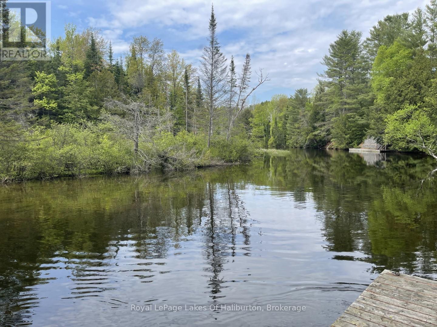 1675 Braeloch Road, Algonquin Highlands, Ontario  K0M 1S0 - Photo 3 - X12195294