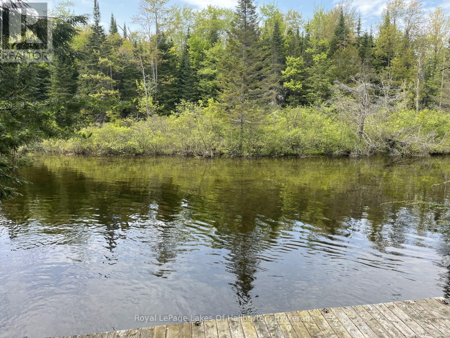 1675 Braeloch Road, Algonquin Highlands, Ontario  K0M 1S0 - Photo 4 - X12195294