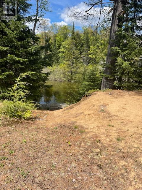 1675 Braeloch Road, Algonquin Highlands, Ontario  K0M 1S0 - Photo 5 - X12195294