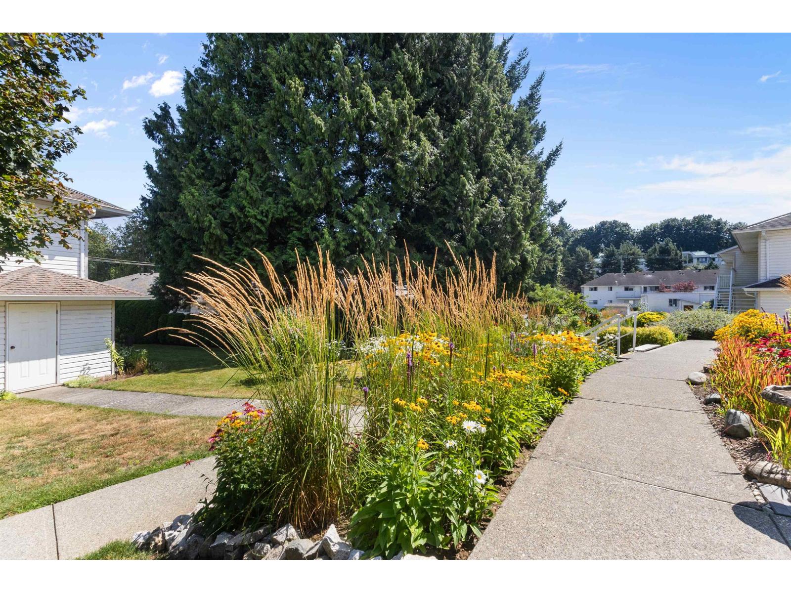 24 2938 Trafalgar Street, Abbotsford, British Columbia  V2S 7X5 - Photo 32 - R3030353