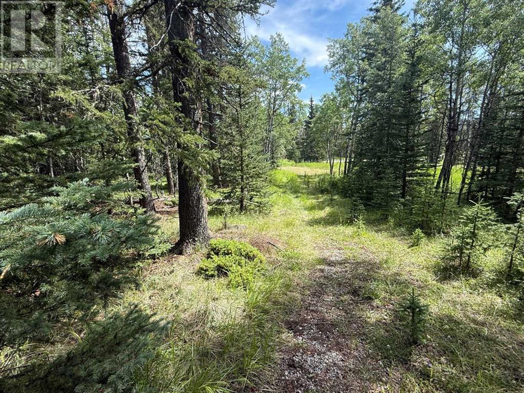 24 Pears Road, Waiparous, Alberta  T4C 1B7 - Photo 14 - A2243033