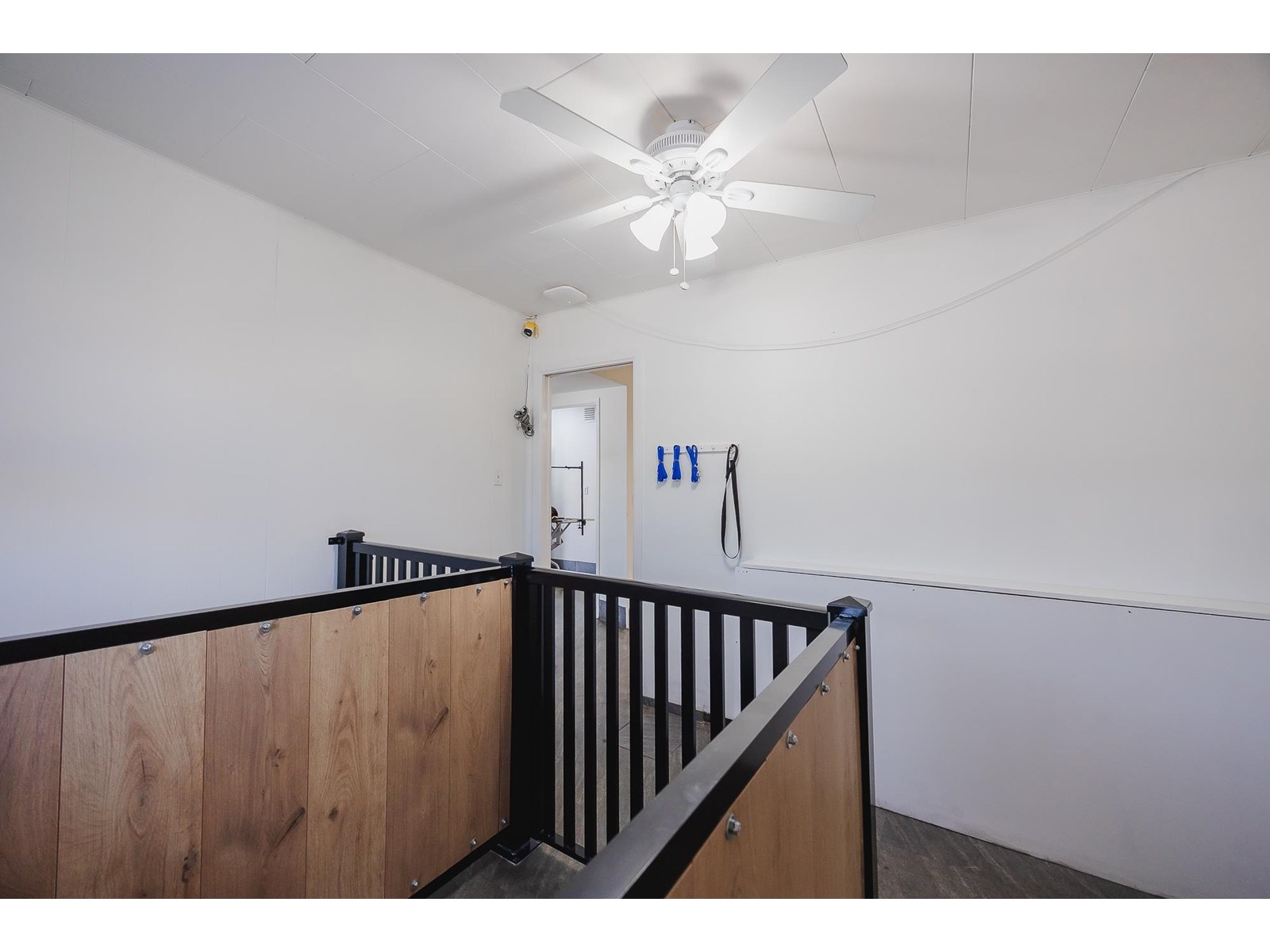 7195 Horne Street, Mission, British Columbia  V2V 3X9 - Photo 20 - C8071036