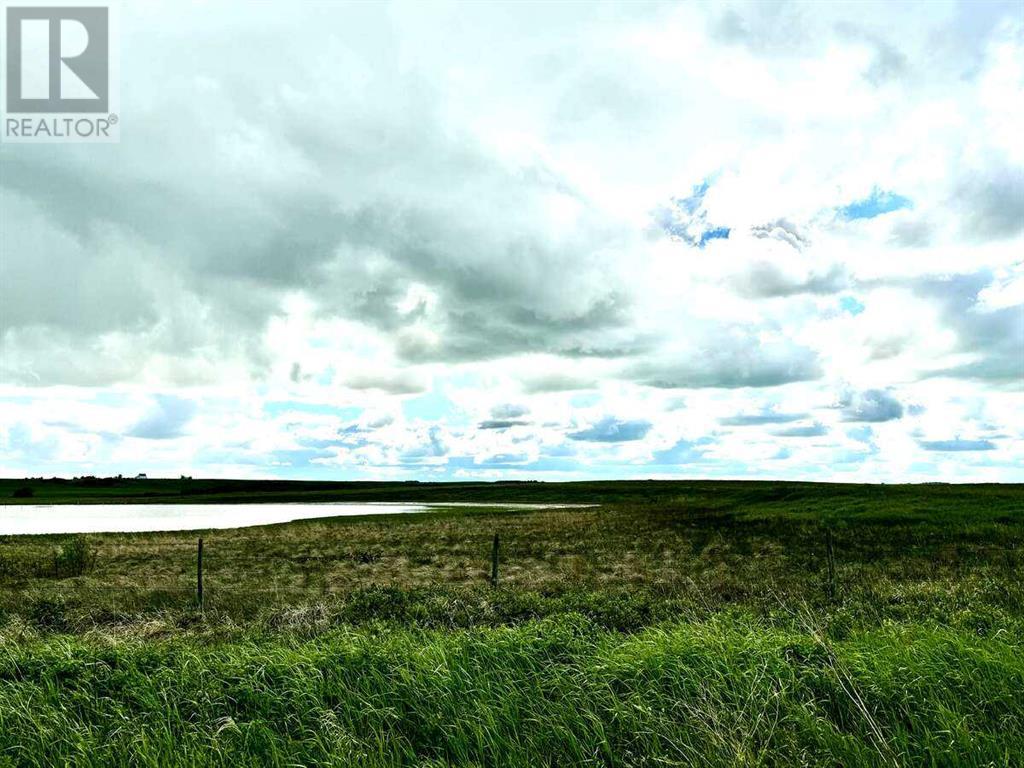 E/2 9-38-3w4, Rural Provost No. 52, Alberta  T0B 3S0 - Photo 6 - A2013215