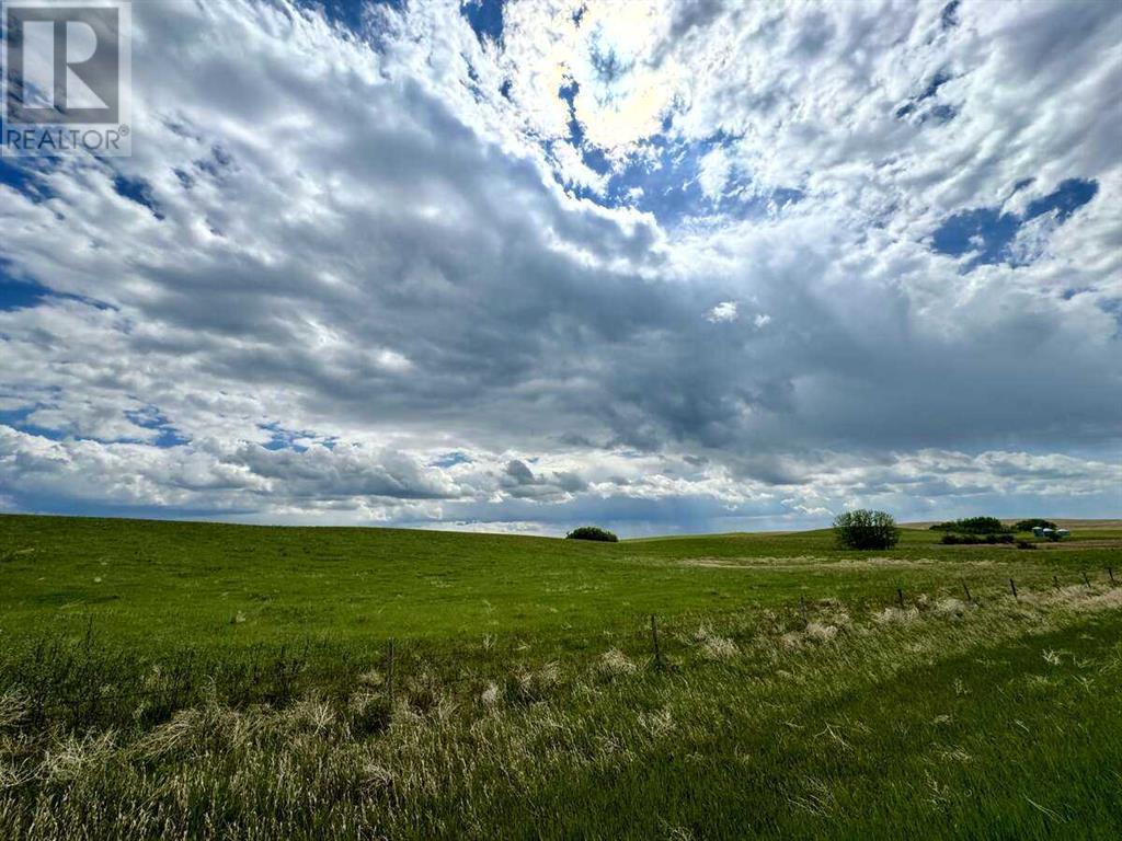 E/2 9-38-3w4, Rural Provost No. 52, Alberta  T0B 3S0 - Photo 5 - A2013215