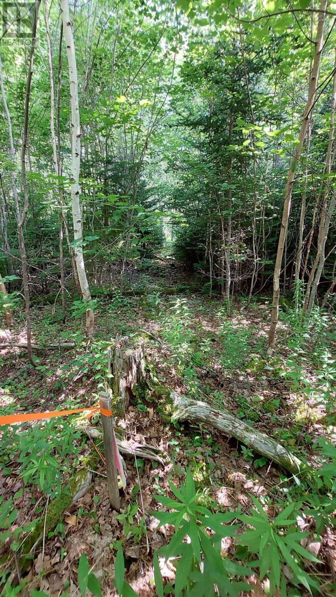 Lot 5 Tranquil Shore Rd, Marshes, Nova Scotia  B0E 1V0 - Photo 14 - 202518509