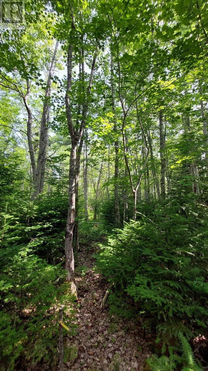 Lot 5 Tranquil Shore Rd, Marshes, Nova Scotia  B0E 1V0 - Photo 15 - 202518509
