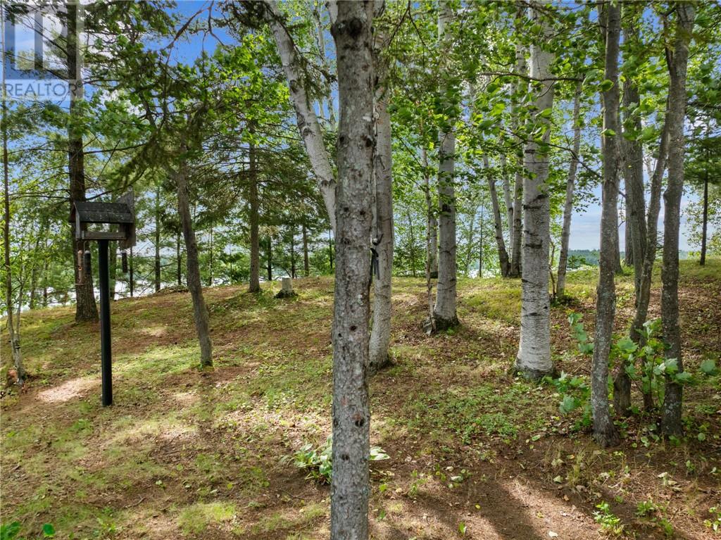 82 Baker Drive, Nairn Centre, Ontario  p0m 2l0 - Photo 54 - 2123763