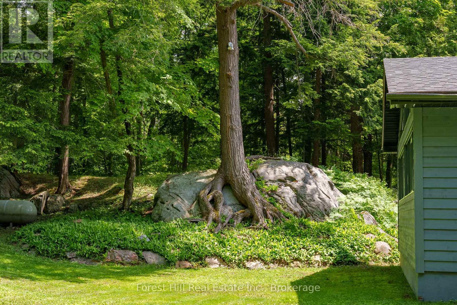 1050 Fair-Lee Park Road, Muskoka Lakes, Ontario  P0B 1G0 - Photo 34 - X12247370