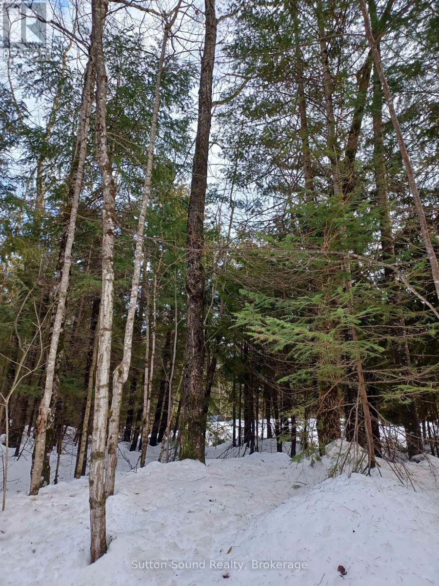 382309 Concession 17, Georgian Bluffs, Ontario  N0H 2T0 - Photo 7 - X11935568