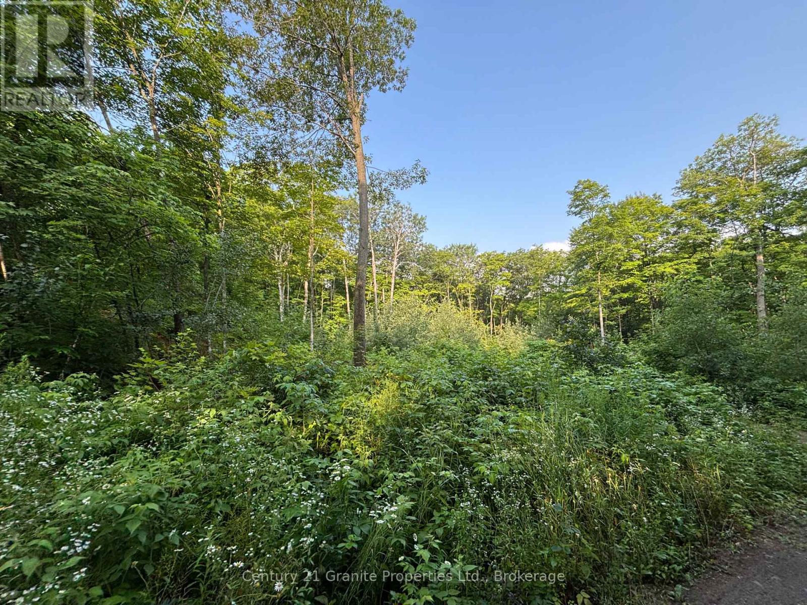 Lot 5 Louisa Street, Parry Sound, Ontario  P2A 3C1 - Photo 10 - X12306762