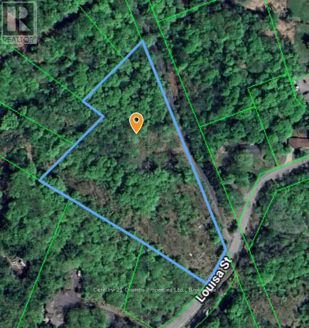 Lot 5 Louisa Street, Parry Sound, Ontario  P2A 3C1 - Photo 2 - X12306762