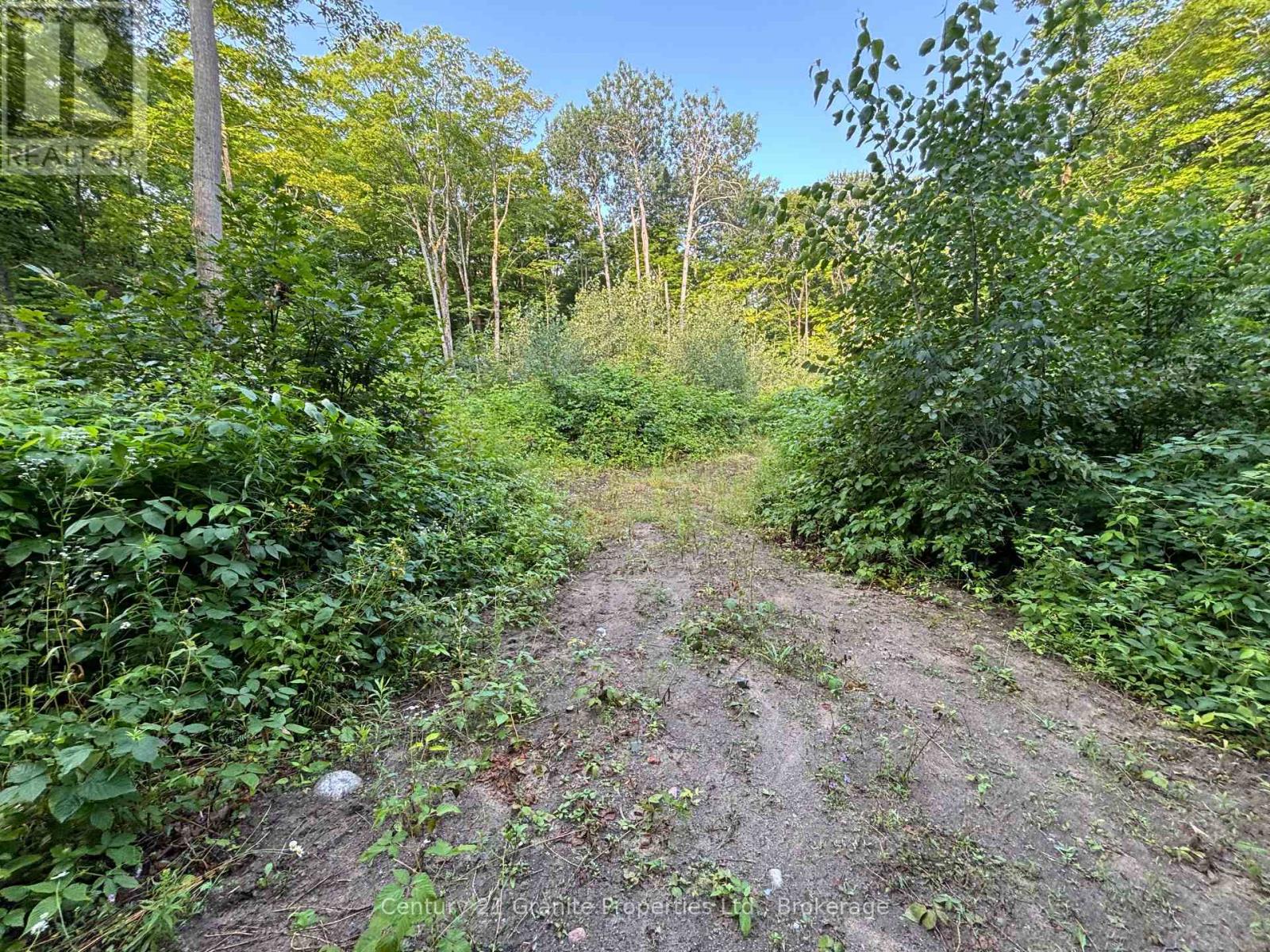Lot 5 Louisa Street, Parry Sound, Ontario  P2A 3C1 - Photo 3 - X12306762