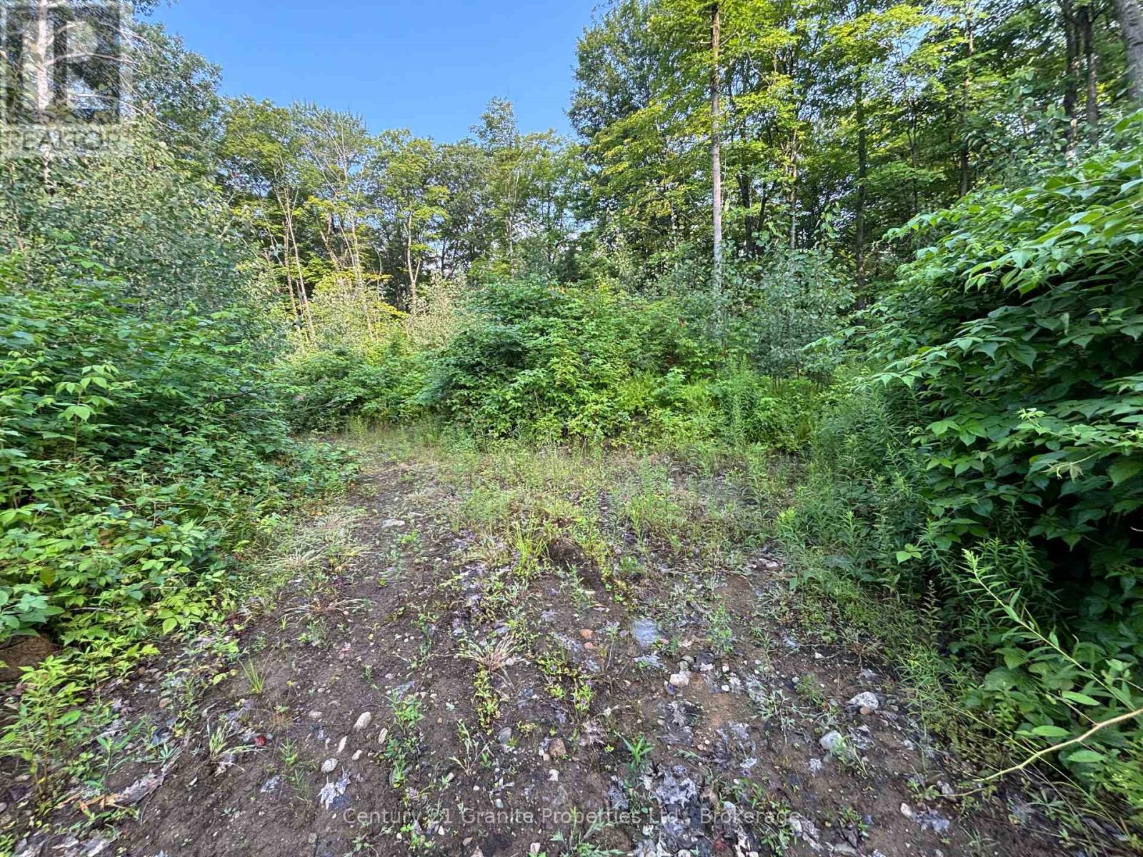 Lot 5 Louisa Street, Parry Sound, Ontario  P2A 3C1 - Photo 4 - X12306762