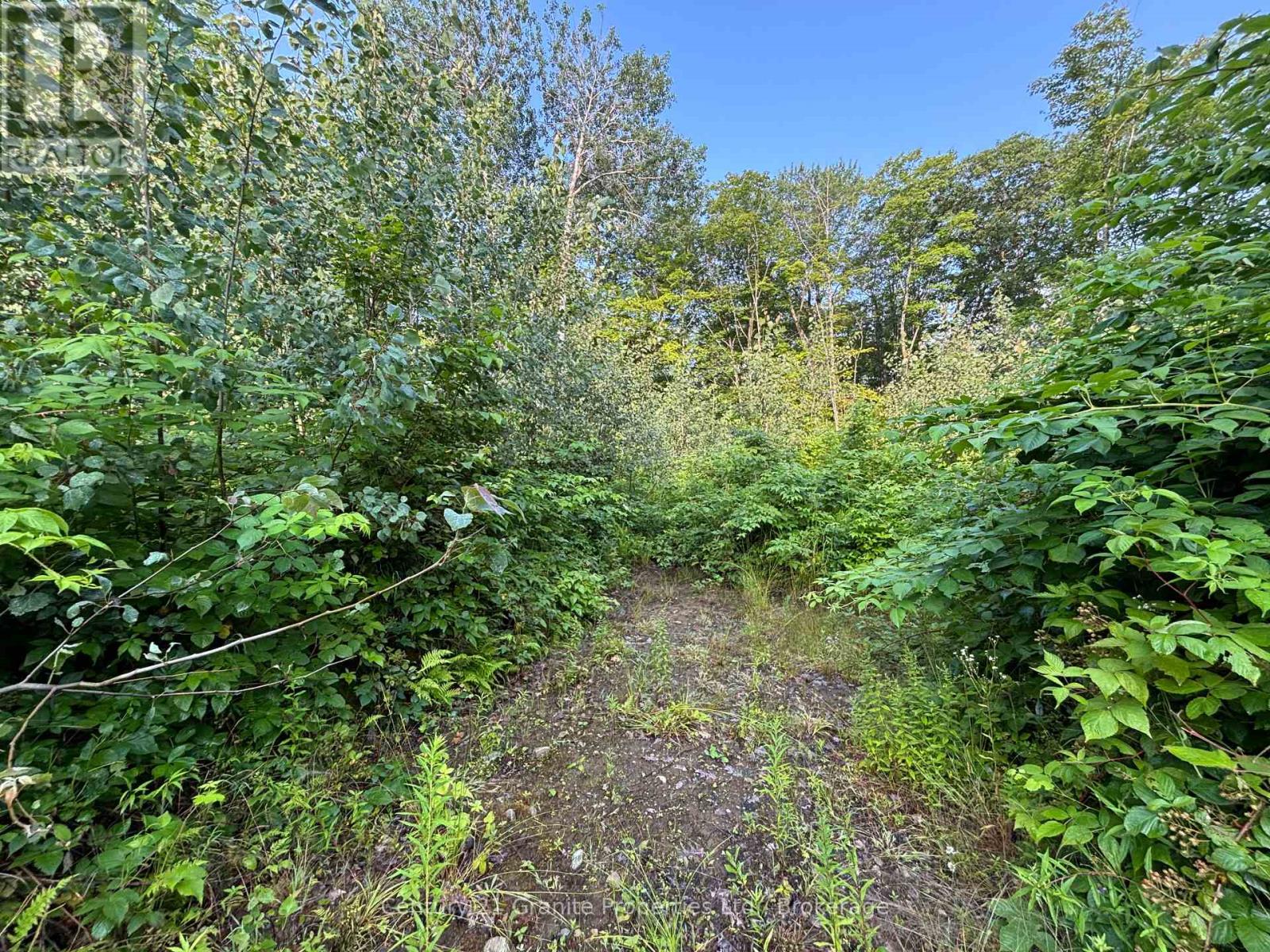 Lot 5 Louisa Street, Parry Sound, Ontario  P2A 3C1 - Photo 5 - X12306762