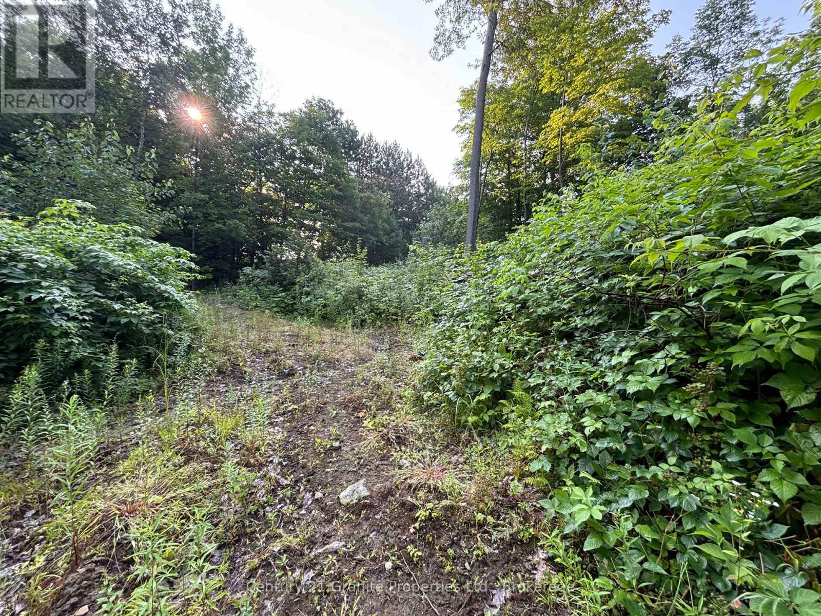 Lot 5 Louisa Street, Parry Sound, Ontario  P2A 3C1 - Photo 6 - X12306762