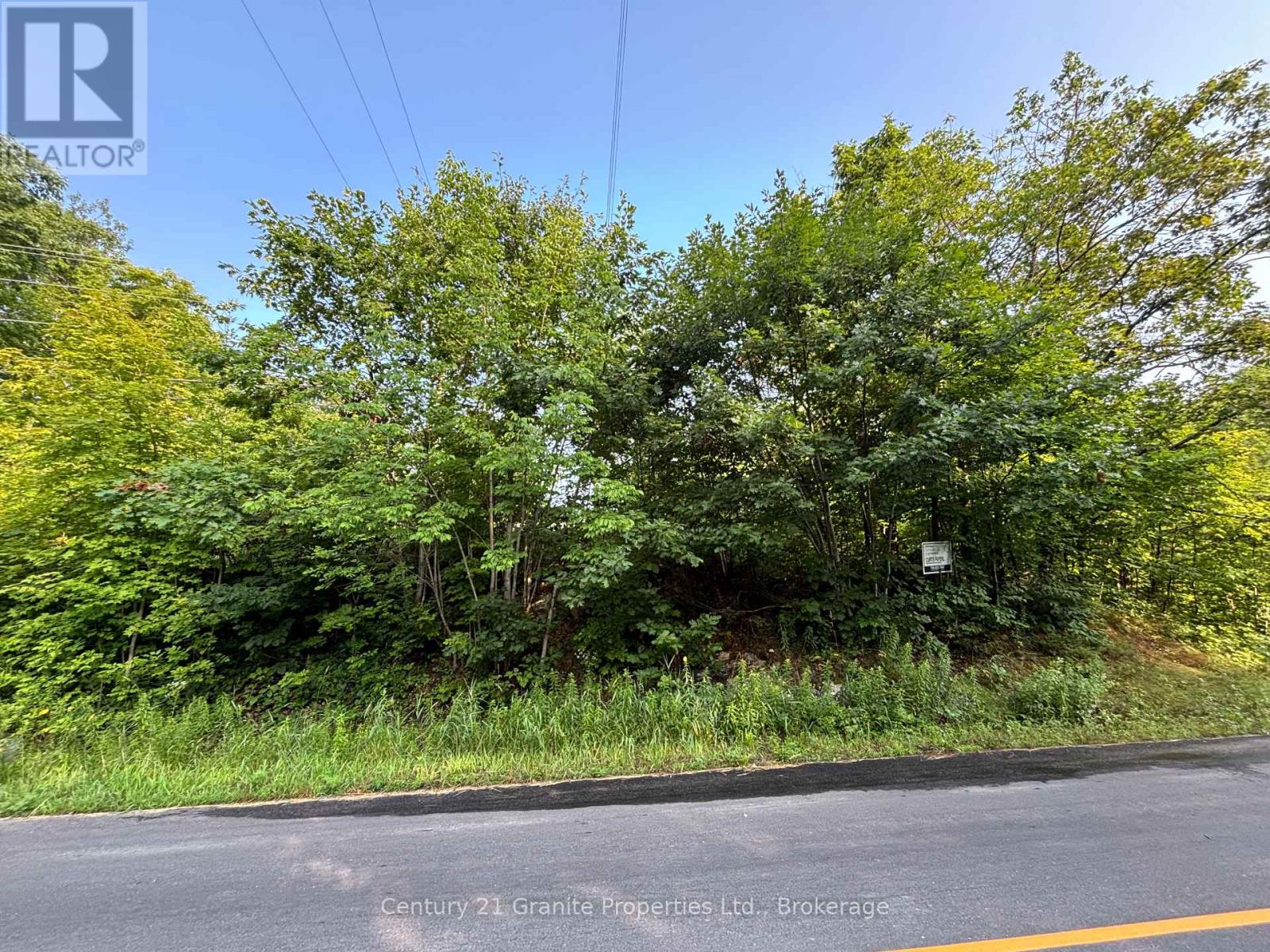 Lot 5 Louisa Street, Parry Sound, Ontario  P2A 3C1 - Photo 7 - X12306762