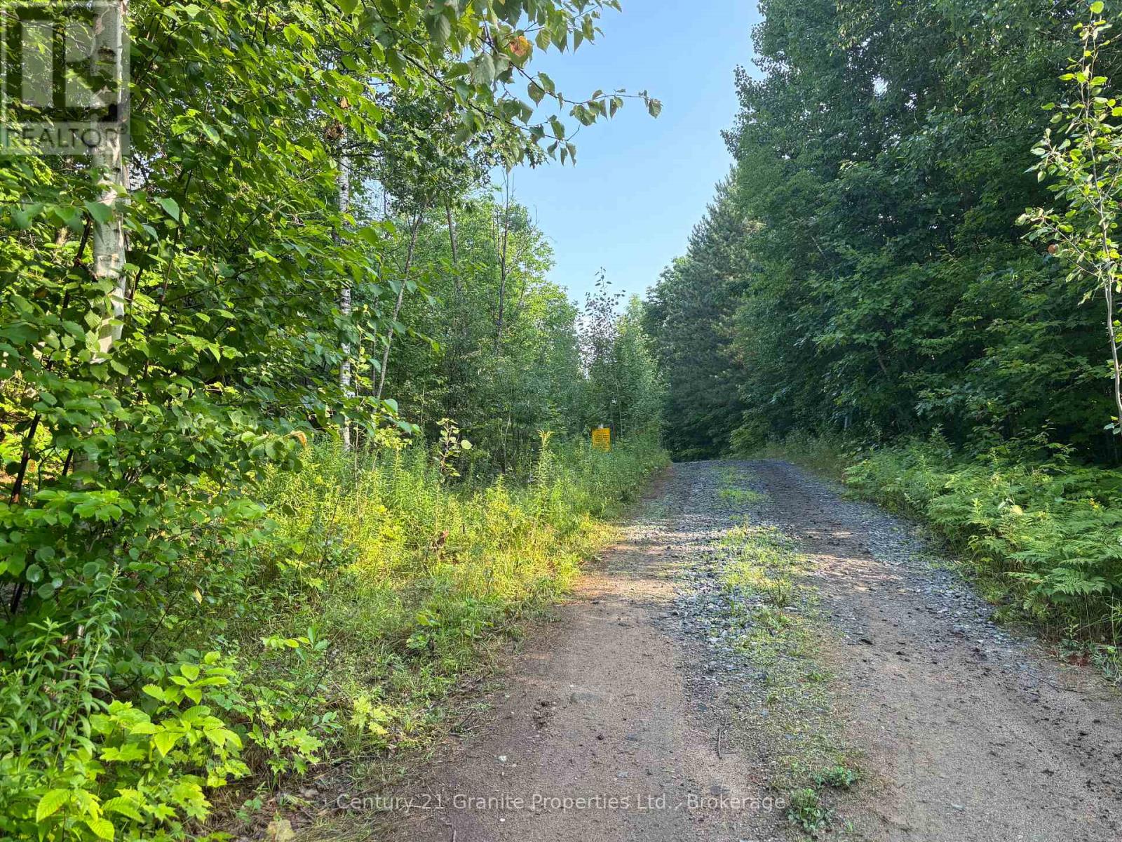 Lot 5 Louisa Street, Parry Sound, Ontario  P2A 3C1 - Photo 8 - X12306762