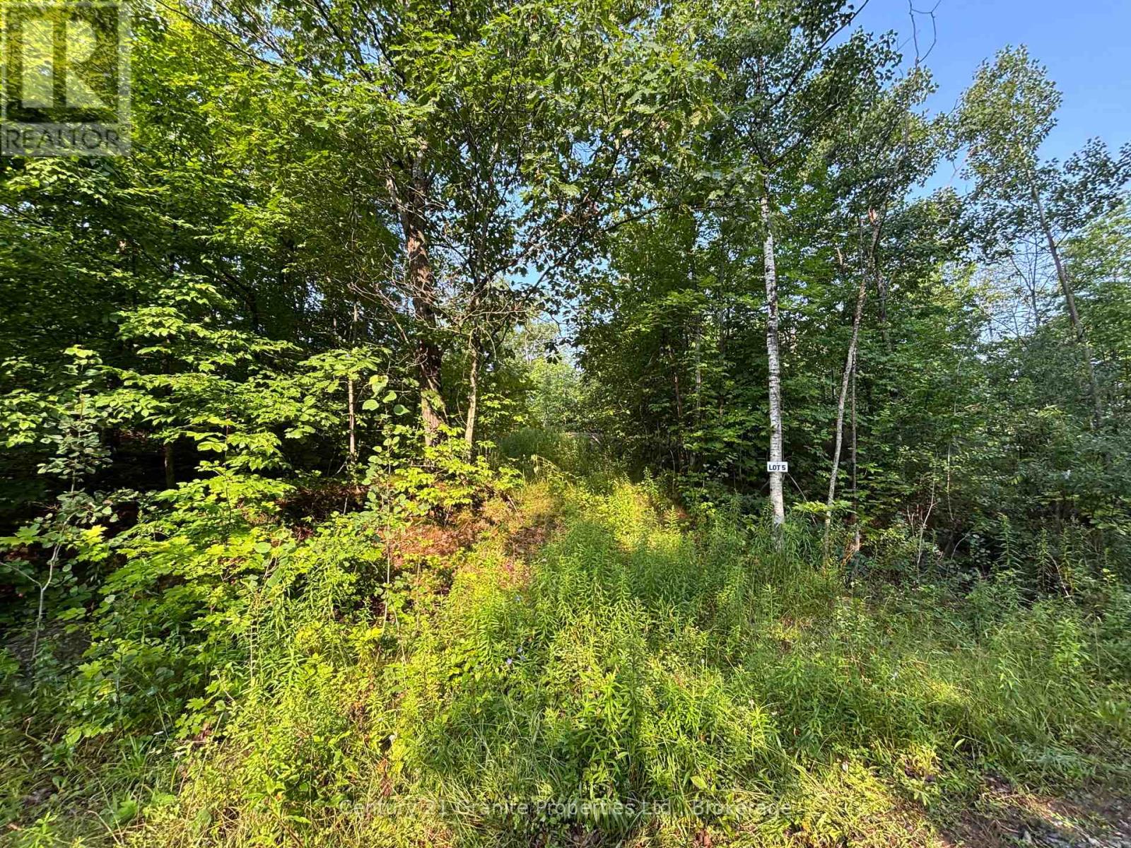 Lot 5 Louisa Street, Parry Sound, Ontario  P2A 3C1 - Photo 9 - X12306762
