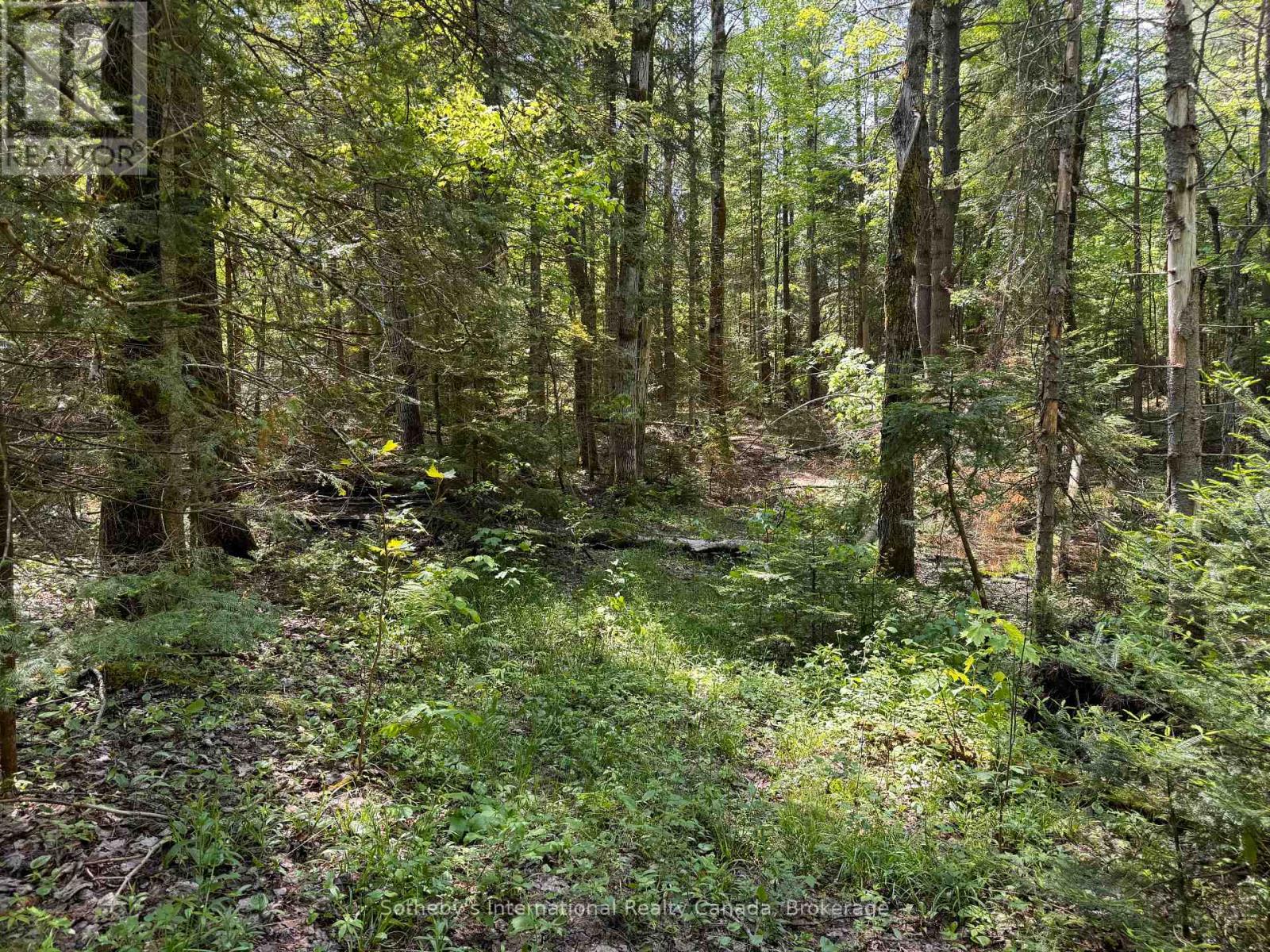 0 Kirk Line, Bracebridge, Ontario  P1L 0A1 - Photo 8 - X12306802