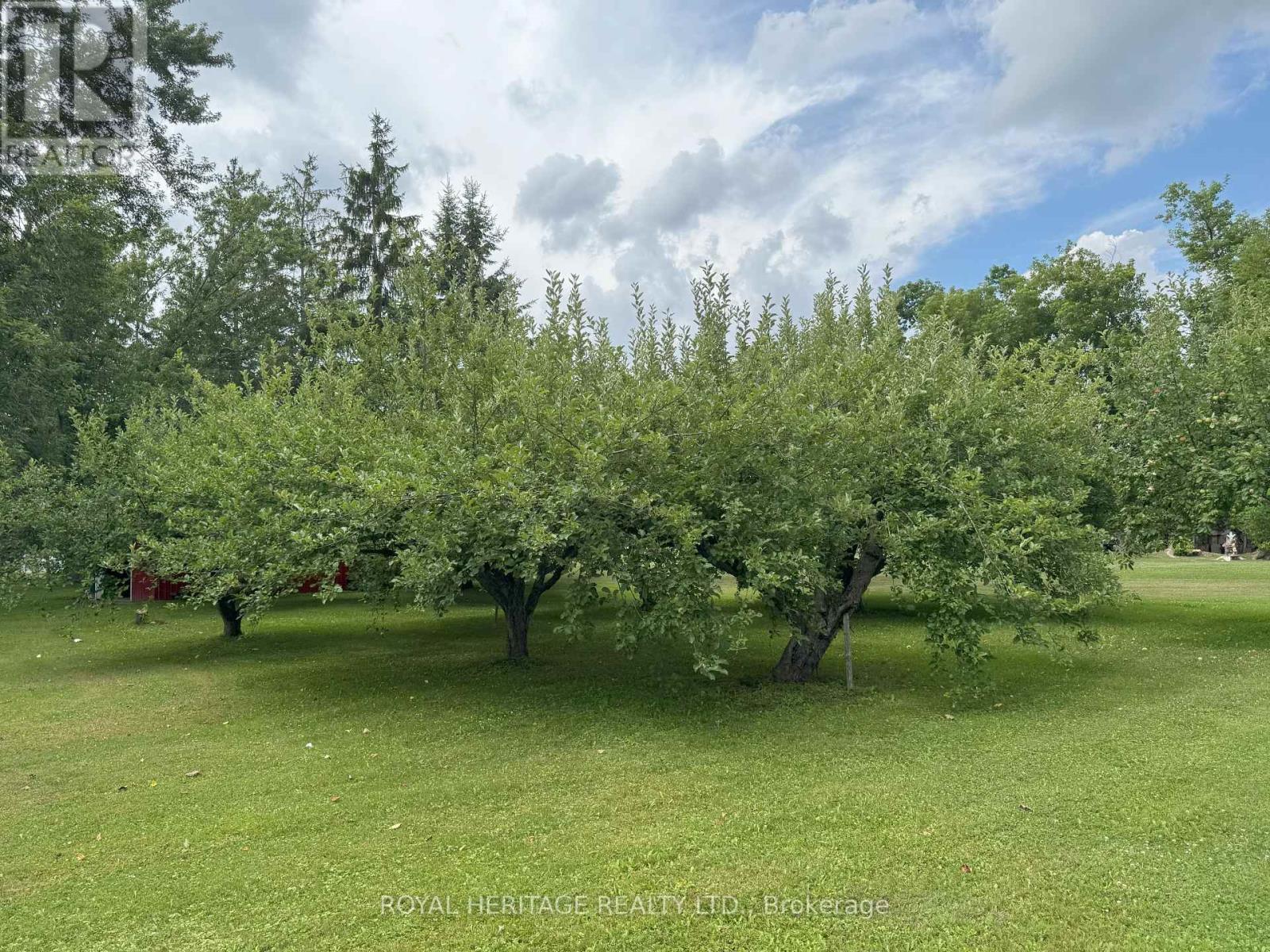 1461 County 10 Road, Cavan Monaghan (Cavan Twp), Ontario  L0A 1C0 - Photo 46 - X12306719