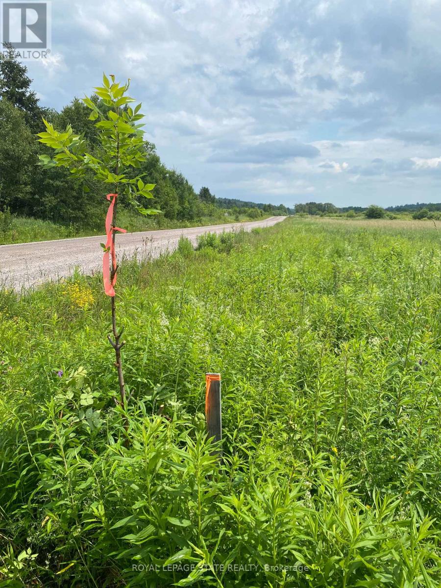 Unknown Address, ,     - Photo 2 - X12306740