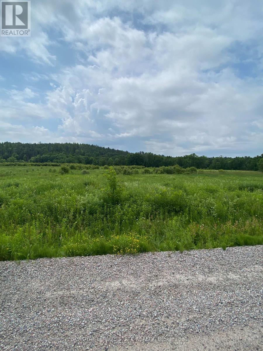 Unknown Address, ,     - Photo 3 - X12306740