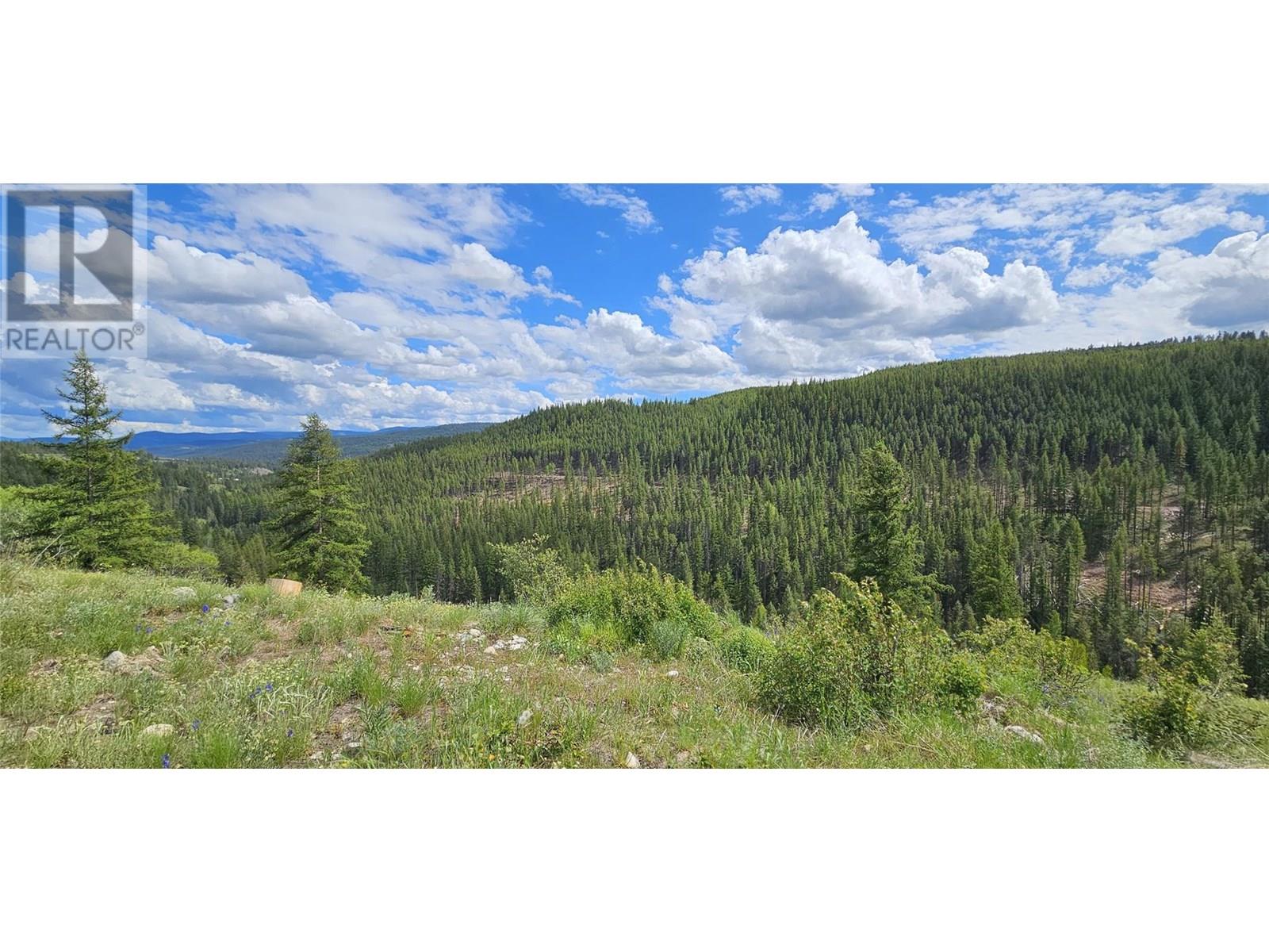 5630 Burton Road, Bridesville, British Columbia  V0H 1Y0 - Photo 6 - 10332873