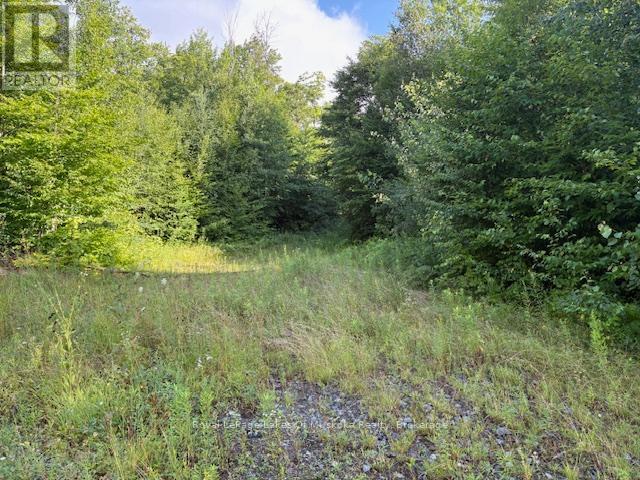 59 Summer Leigh Trail, Huntsville, Ontario  P0B 1M0 - Photo 2 - X11993856