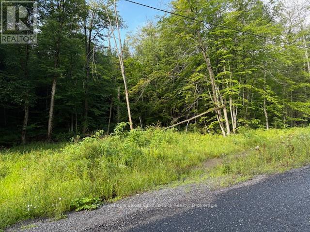 48 Summer Leigh Trail, Huntsville, Ontario  P0B 1M0 - Photo 5 - X11993917