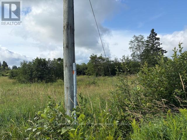 0 Old Muskoka To The East Side Of #1105 Road, Huntsville, Ontario  P0B 1M0 - Photo 3 - X11980955