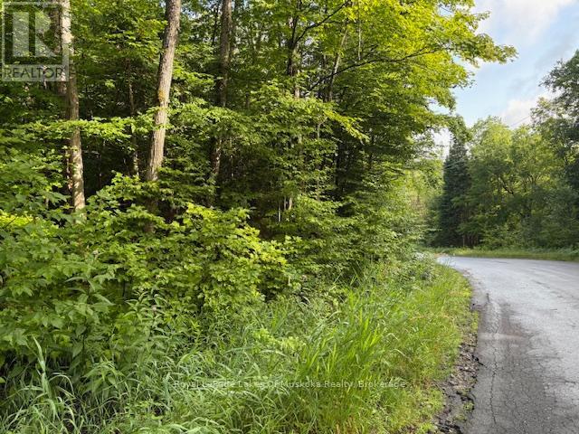 1788 Old Muskoka Road, Huntsville, Ontario  P0B 1M0 - Photo 9 - X11993861