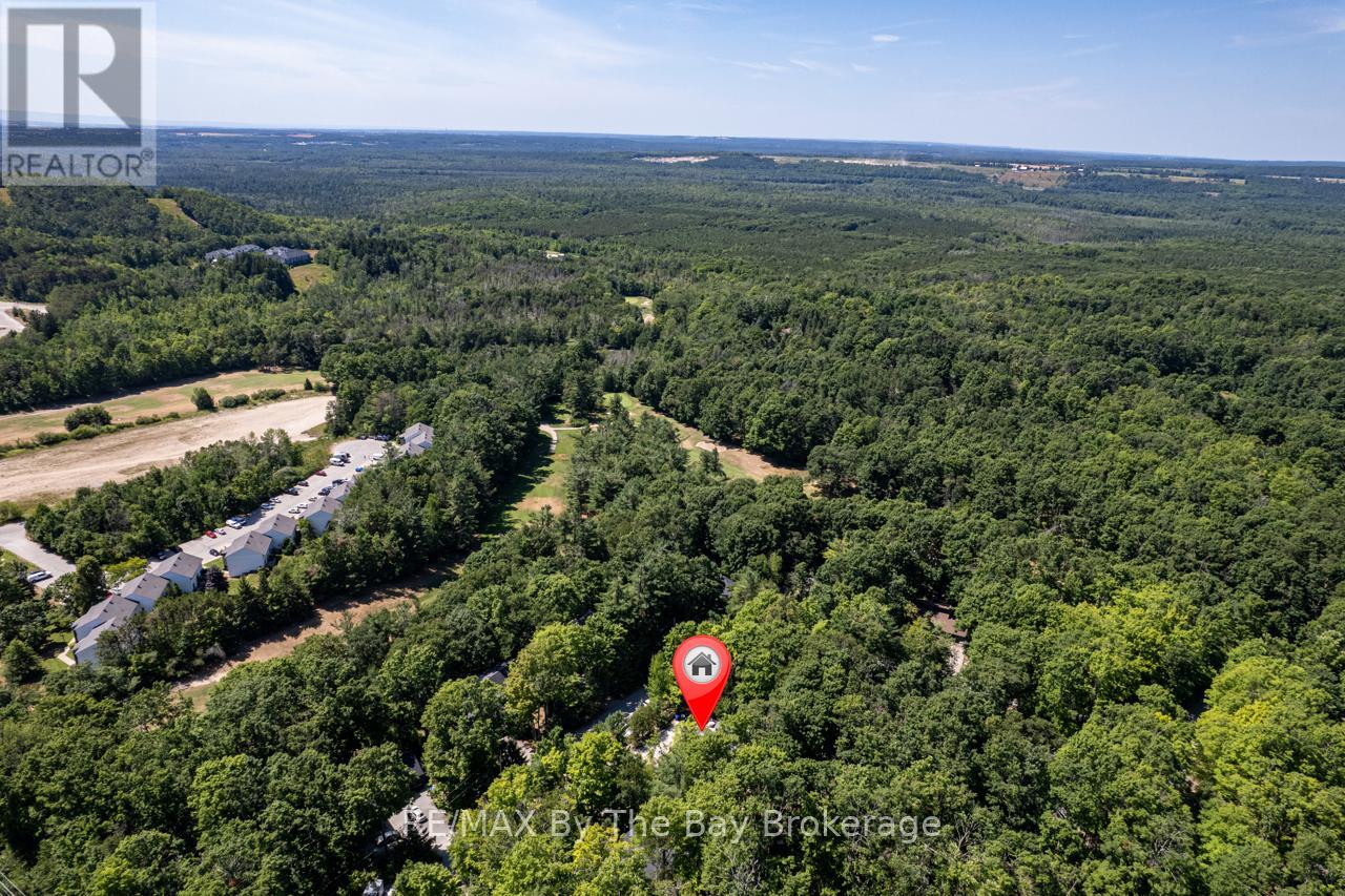 6 Beech Wood Road, Oro-Medonte, Ontario  L4M 4Y8 - Photo 45 - S12307226