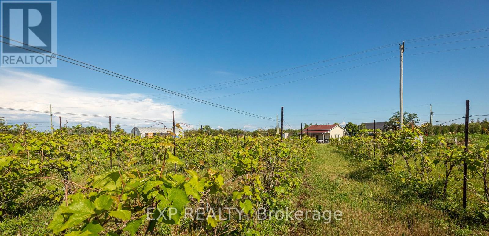 3609 County Road 8, Prince Edward County, Ontario  K0K 2T0 - Photo 35 - X12307172