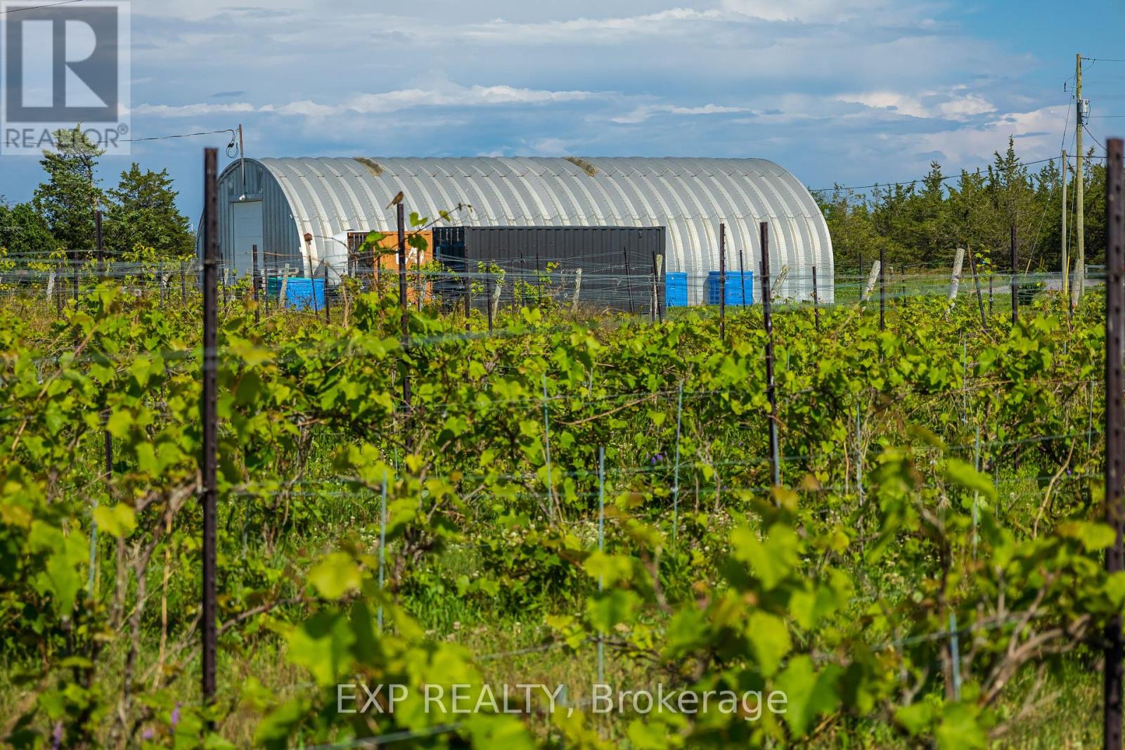 3609 County Road 8, Prince Edward County, Ontario  K0K 2T0 - Photo 36 - X12307172